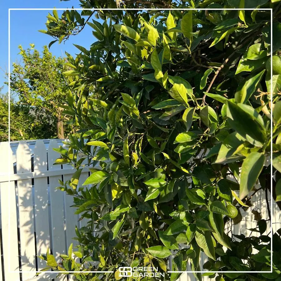 Sb Green Garden Ortaca  Holiday home Ortaca (Mugla)